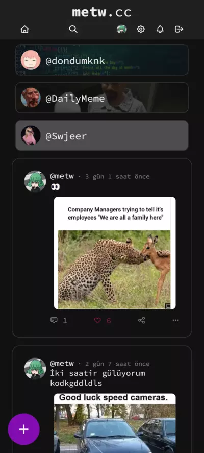 metw.cc screenshot
